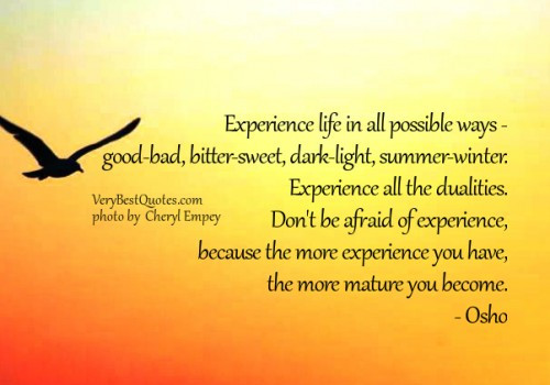 Life Experience Quotes
 30 Wise Quotes About Life Experiences – Pelfusion