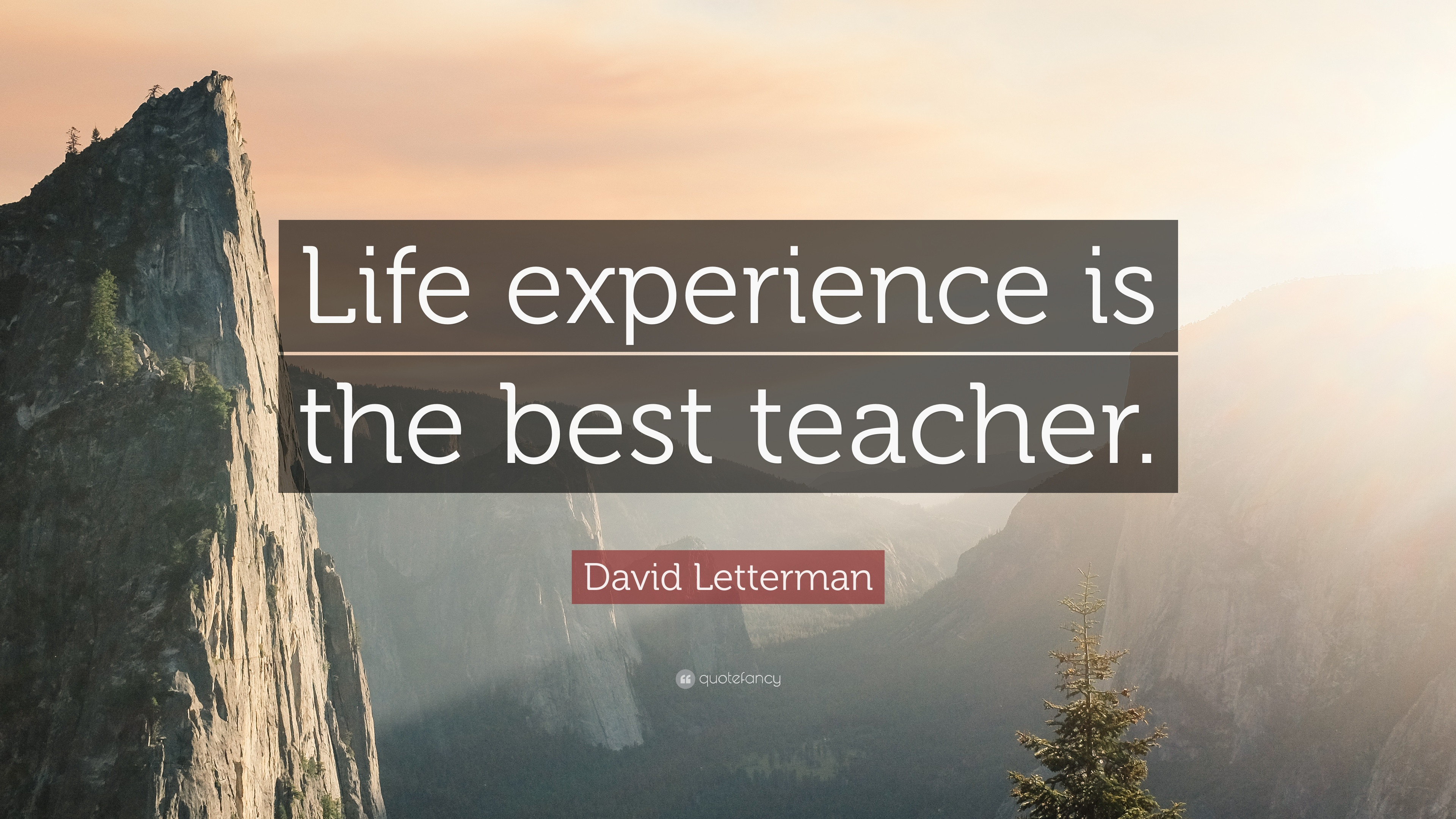 Life Experience Quotes
 David Letterman Quotes 100 wallpapers Quotefancy
