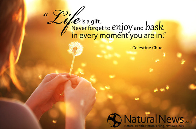 Life Is A Gift Quotes
 Life is a t NaturalNews