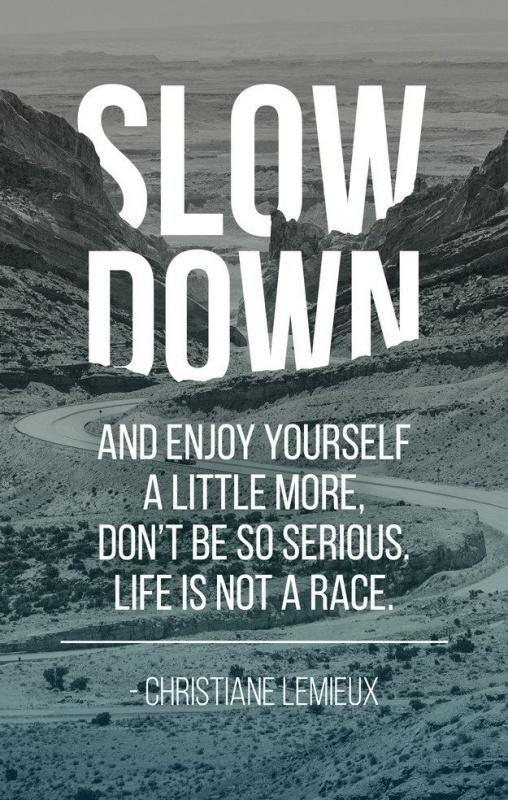 Life Is A Race Quotes
 Slow down and enjoy yourself a little more don t be so