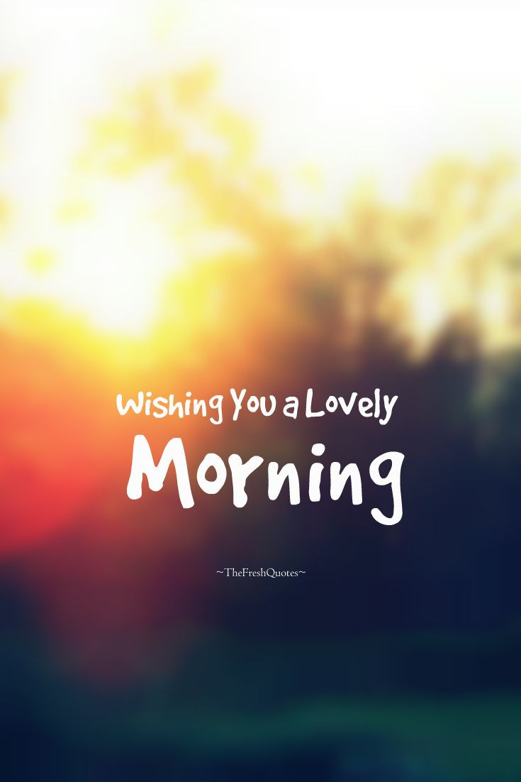 Lovely Morning Quote
 72 Beautiful Good Morning Quotes and Wishes