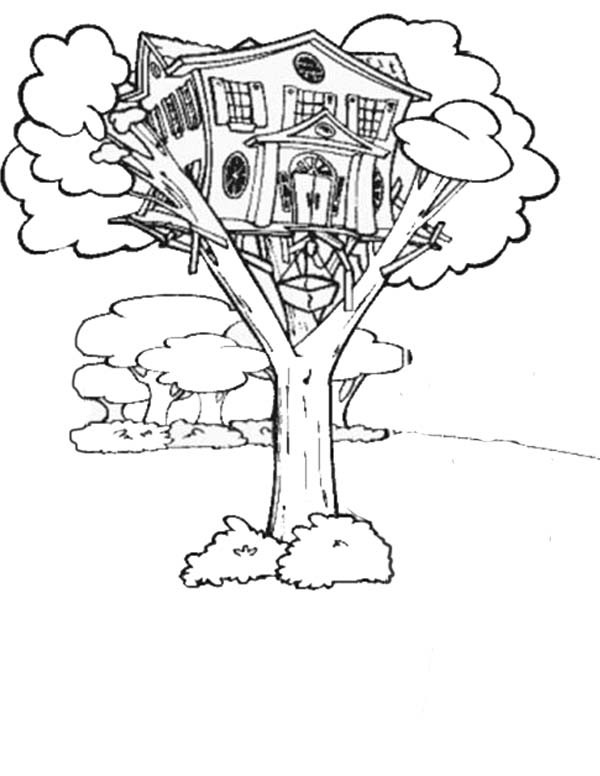 Magic Tree House Coloring Pages
 Magical Tree Drawing at GetDrawings
