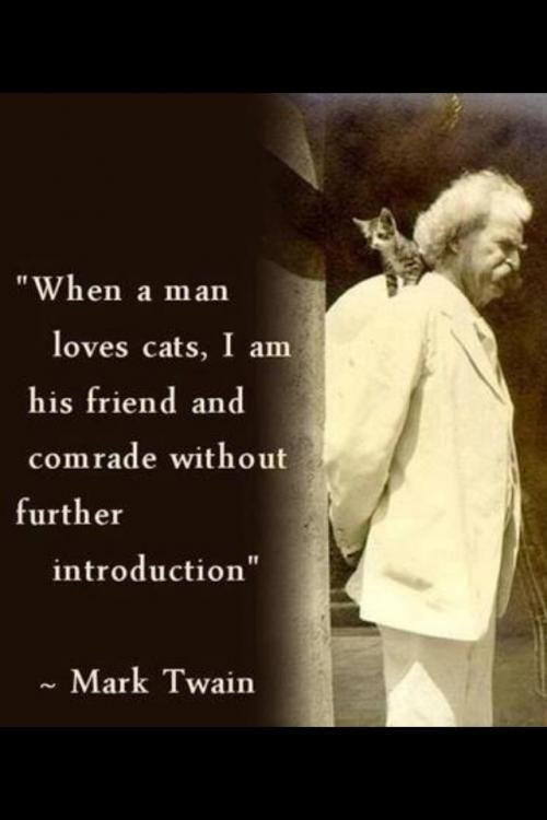 Mark Twain Friendship Quotes
 Cat Friend Quotes QuotesGram