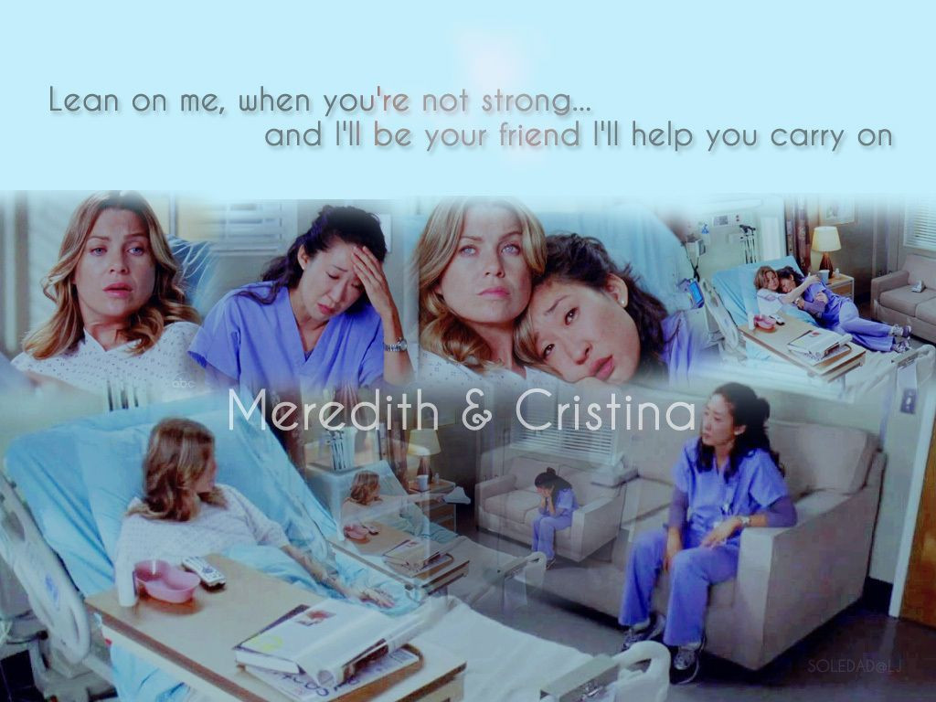 Meredith And Cristina Friendship Quotes
 grey anatomy alex and meridith