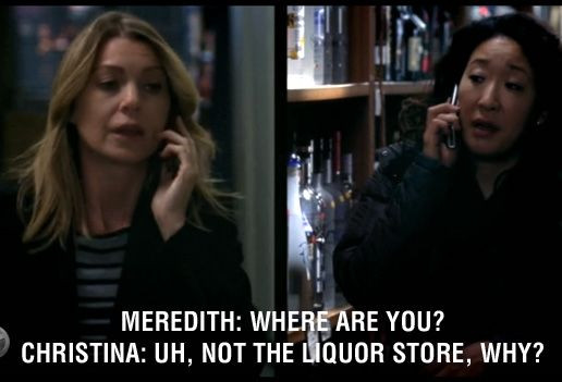Meredith And Cristina Friendship Quotes
 Christina And Meredith Friendship Quotes QuotesGram
