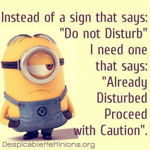 Minion Quotes Funny
 Top 40 Funny Minions Quotes and Pics – Quotes and Humor