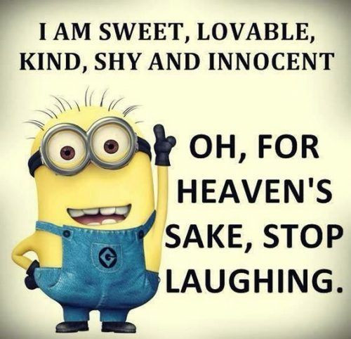 Minion Quotes Funny
 Best 25 Sibling rivalry quotes ideas on Pinterest