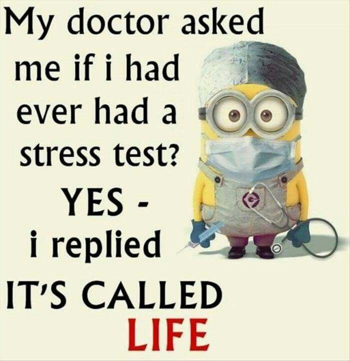 Minion Quotes Funny
 Best 45 Very Funny minions Quotes – Quotes and Humor
