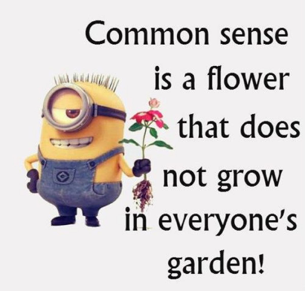 Minion Quotes Funny
 Funny Minions Quotes The Week