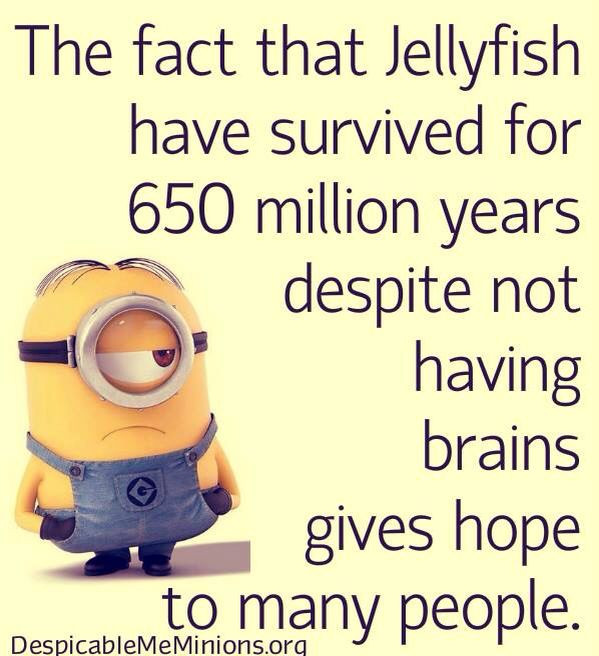 Minion Quotes Funny
 Best 45 Very Funny minions Quotes – Quotes and Humor