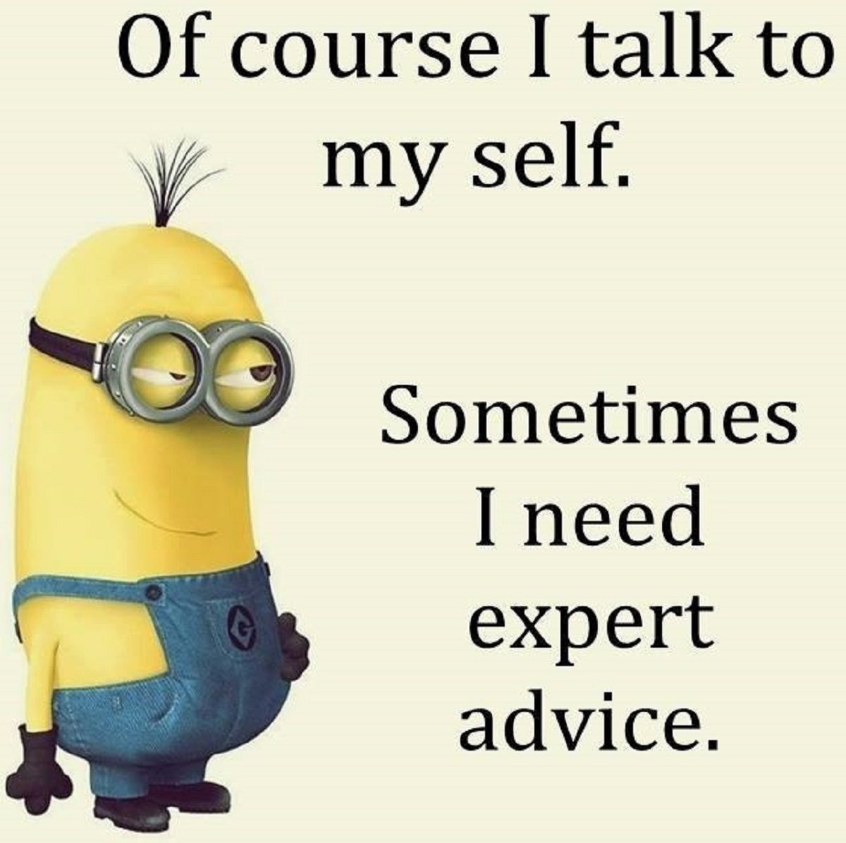 Minion Quotes Funny
 Funniest Minion Quotes The Week