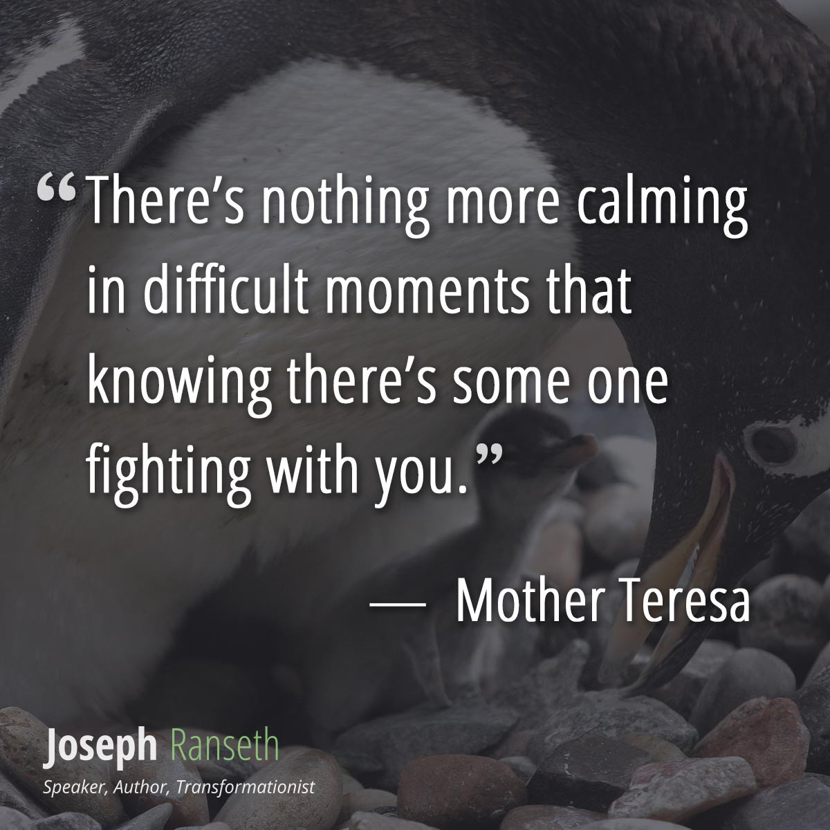 Mother Death Quotes
 12 inspiring Mother Teresa quotes on the anniversary of