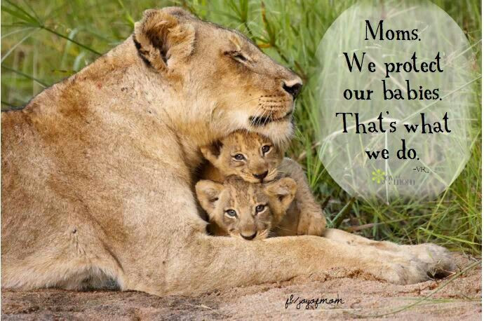 Mother Protecting Child Quotes
 Mama Bear Protecting Cubs Quotes QuotesGram