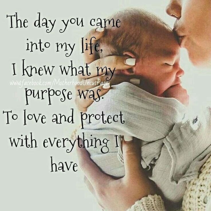 Mother Protecting Child Quotes
 Best 25 Protecting children quotes ideas on Pinterest