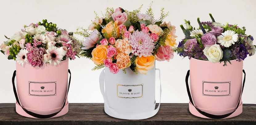 Mother'S Day Gift Ideas 2019
 Wel e to the Bloom Magic Blog