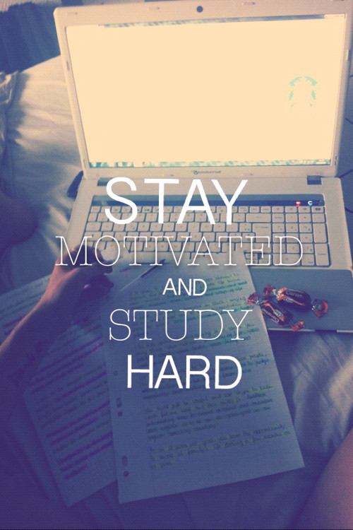 Motivation Study Quotes
 Motivational Quotes For Studying Hard QuotesGram