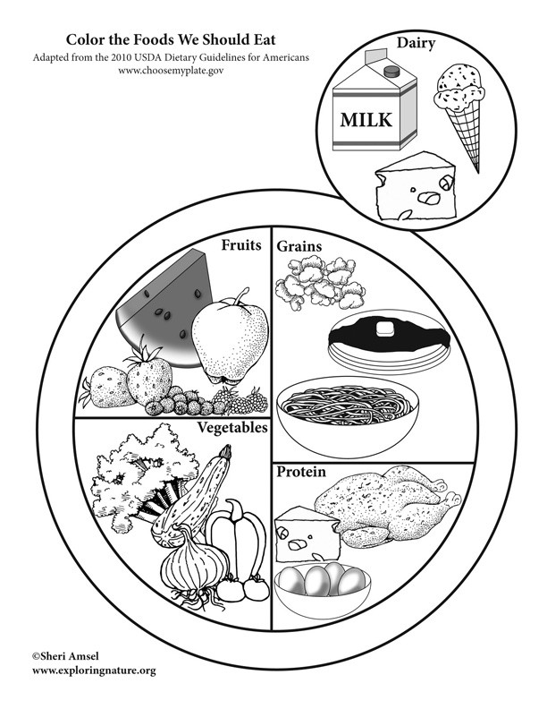My Plate Coloring Pages
 Myplate Food Pages Coloring Pages