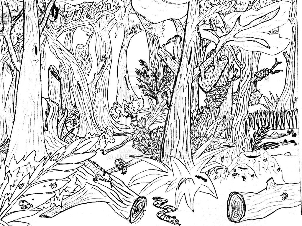 Nature Coloring Pages Printable
 Free Printable Nature Coloring Pages For Kids Best