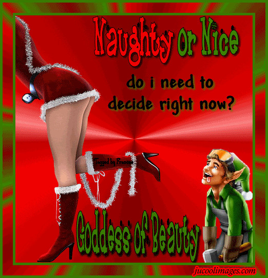 Naughty Christmas Quotes
 Dirty Christmas Quotes QuotesGram
