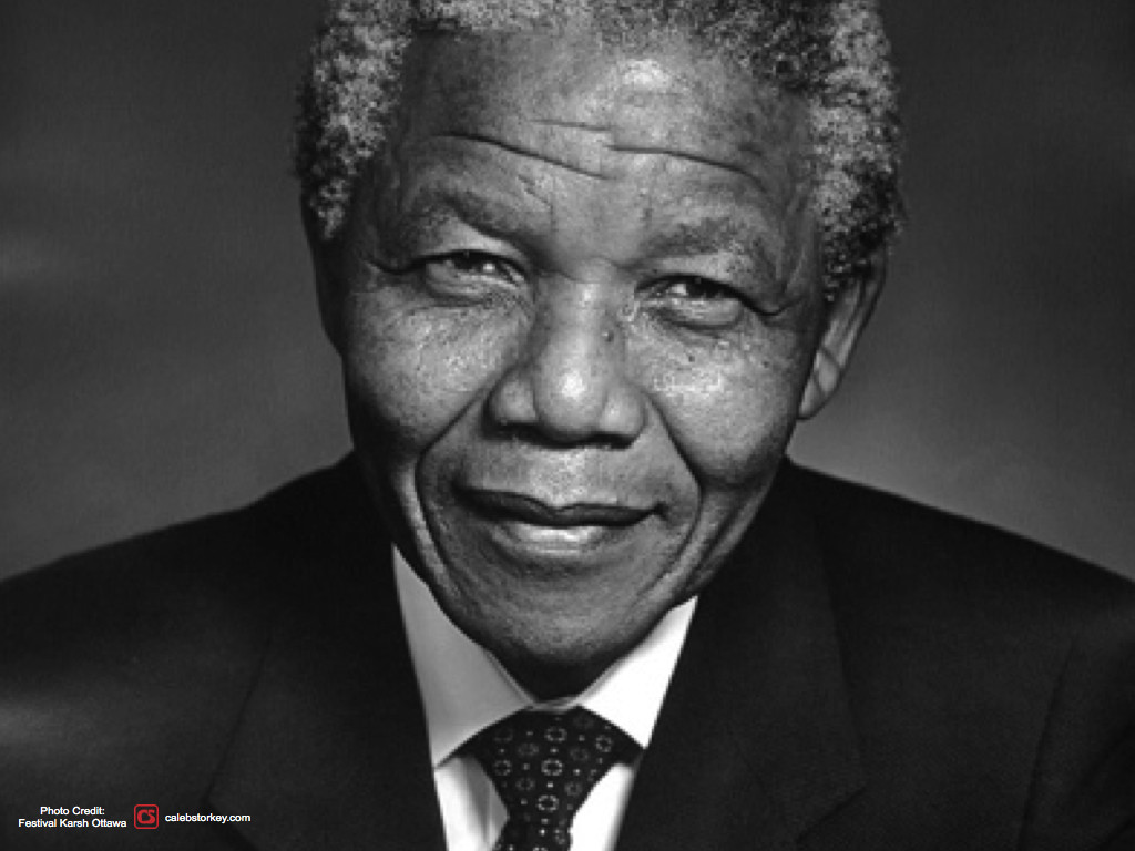 Nelson Mandela Quotes On Education
 The Nelson Mandela Way 21 Principles for Passionate