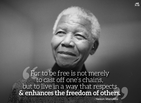 Nelson Mandela Quotes On Leadership
 Further Reflections on Leadership