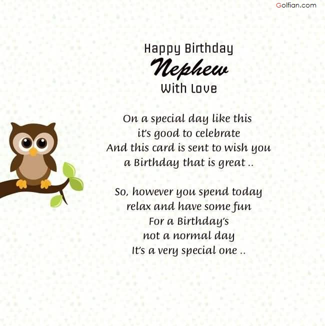 Nephew Quotes Birthday
 50 Wonderful Birthday Wishes For Nephew – Beautiful