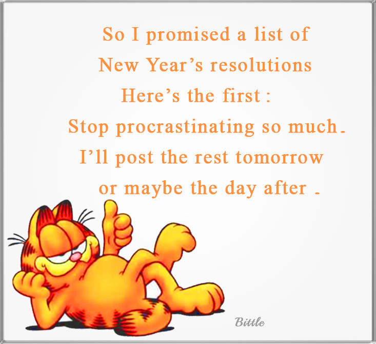 New Year Quotes Funny
 Funny Garfield New Years Resolution Quote s