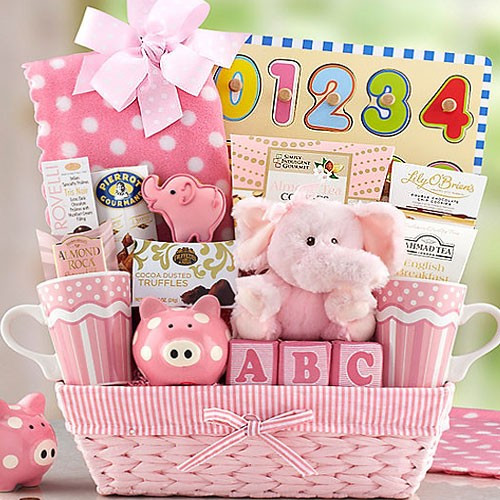 Newborn Baby Girl Gift Ideas
 New Baby Girl Basket