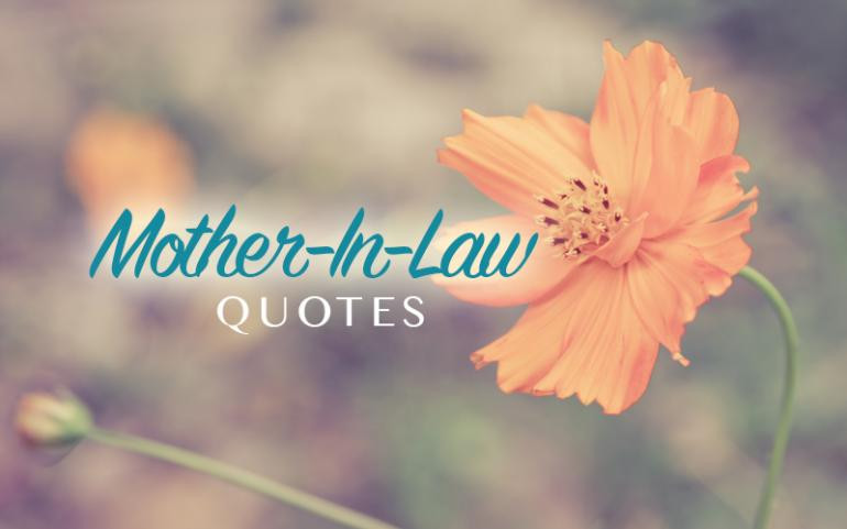 Nice Mother In Law Quotes
 Mother In Law Quotes Nice QuotesGram