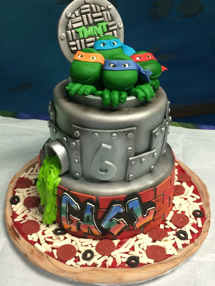 Ninja Turtle Birthday Cake Ideas
 Best 25 Ninja turtle cakes ideas on Pinterest