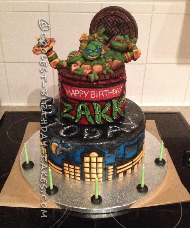 Ninja Turtle Birthday Cake Ideas
 1000 images about Will birthday party on Pinterest