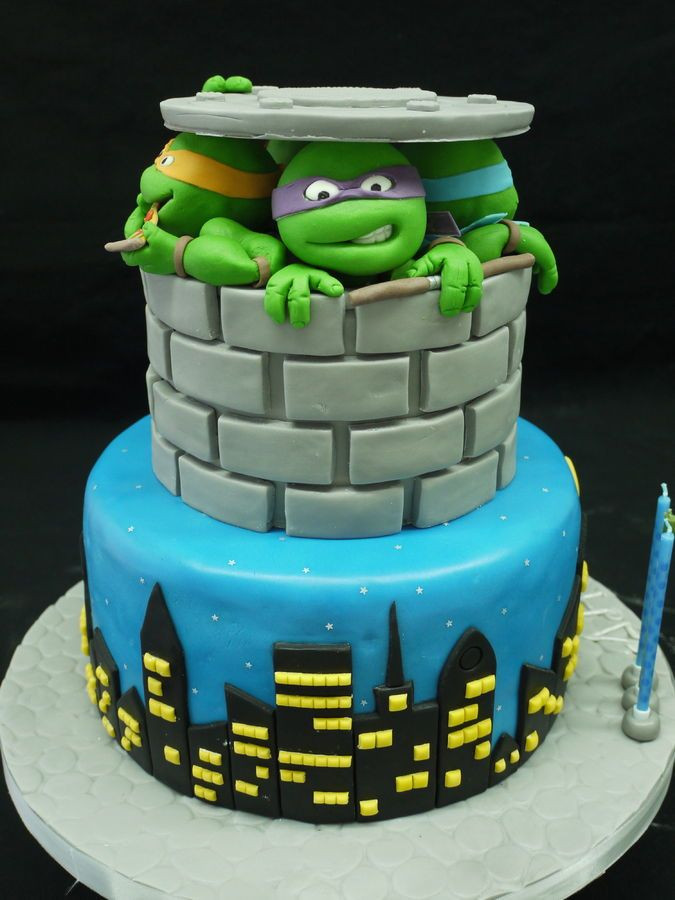 Ninja Turtle Birthday Cake Ideas
 Best 20 Ninja turtle cakes ideas on Pinterest