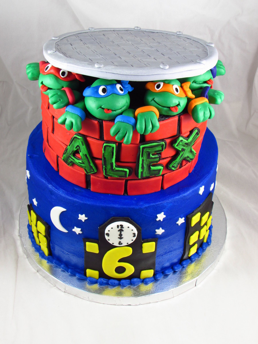 Ninja Turtle Birthday Cake
 Teenage Mutant Ninja Turtles Birthday Cake CakeCentral