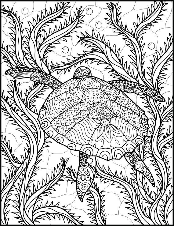 Ocean Adult Coloring Book
 Best 25 Ocean coloring pages ideas on Pinterest