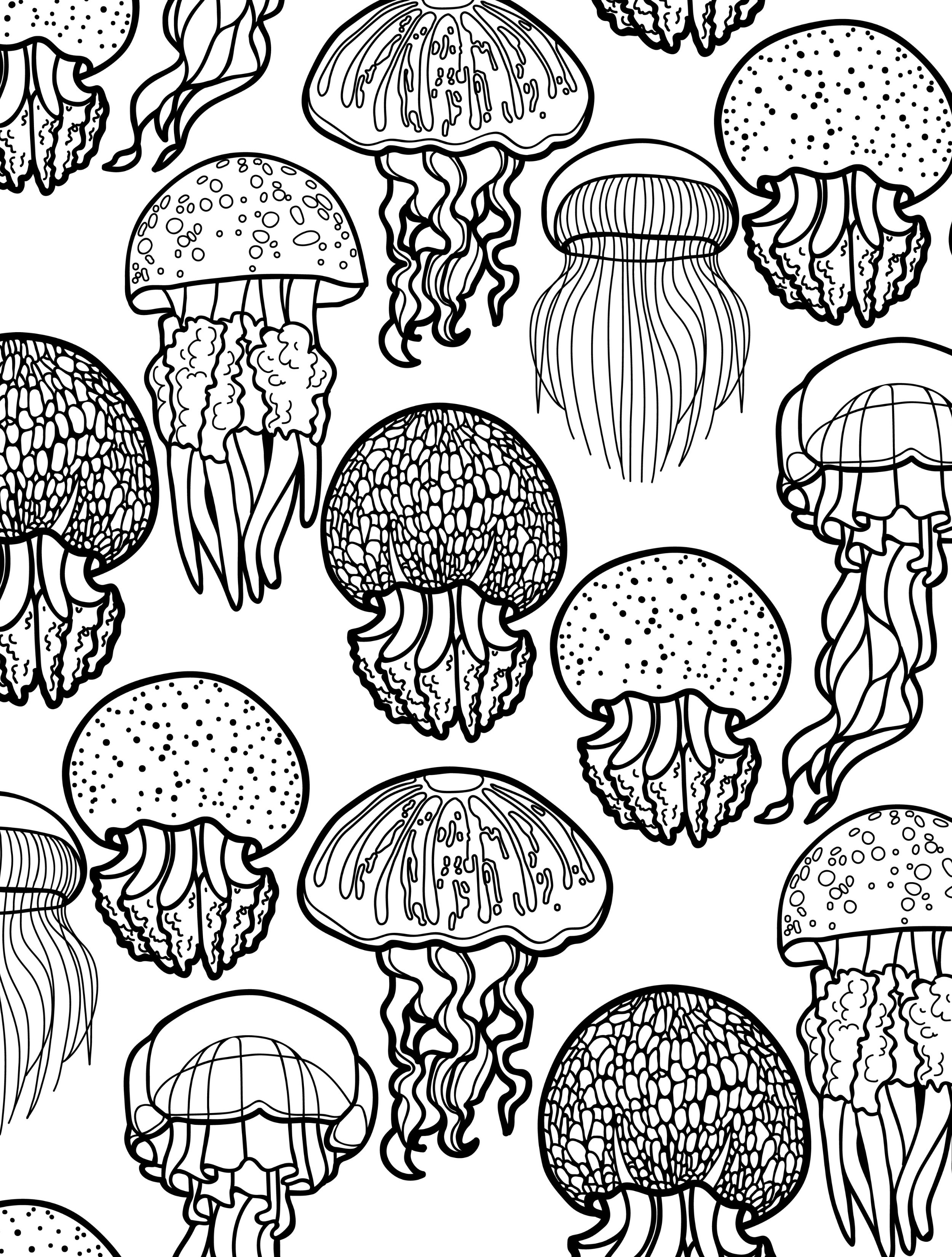 Ocean Adult Coloring Book
 1000 images about COLORING PAGES on Pinterest