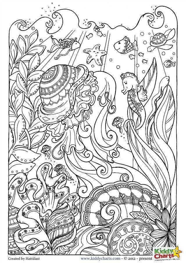 Ocean Adult Coloring Book
 Ocean coloring pages for kids and adults
