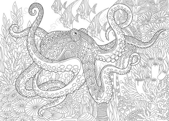 Ocean Adult Coloring Book
 Ocean World Octopus 3 Coloring Pages Animal coloring book