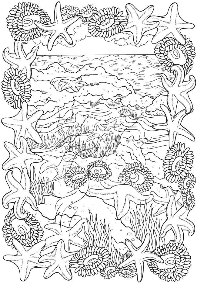 Ocean Adult Coloring Book
 BLISS Seashore Coloring Book Your Passport to Calm