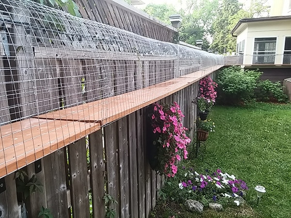 Outdoor Cat Enclosures DIY
 Another awesome outdoor cat enclosure Cuckoo4Design