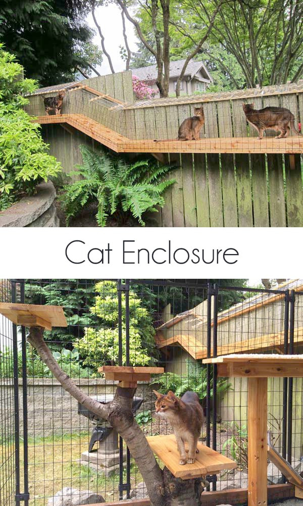 Outdoor Cat Enclosures DIY
 Awesome DIY backyard Cat Enclosure