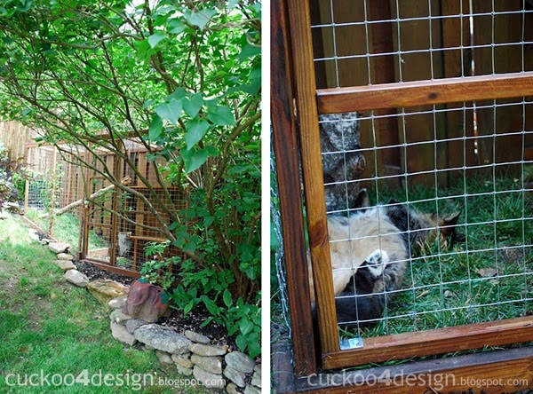 Outdoor Cat Enclosures DIY
 Easy DIY Cat Enclosure to keep your indoor cats happy and safe