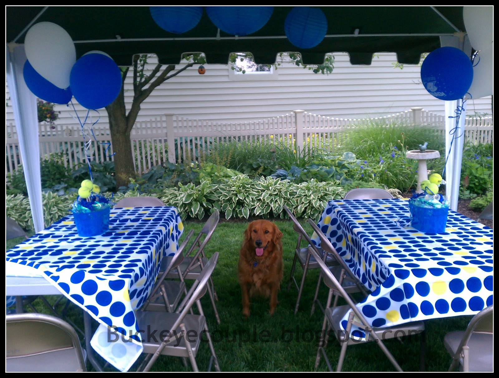 Outside Graduation Party Ideas
 Not So Newlyweds Graduation Party