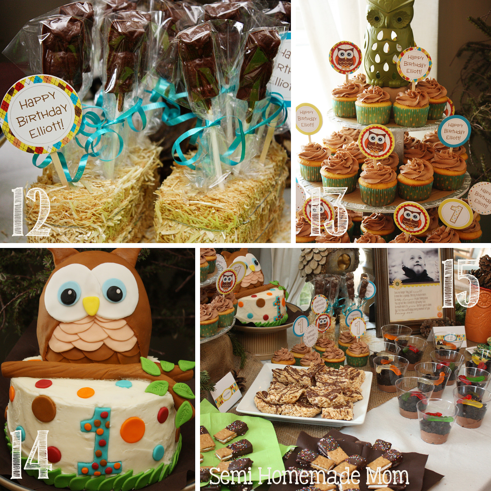 Owl First Birthday Decorations
 Owl 1st Birthday Party Mostly Homemade Mom