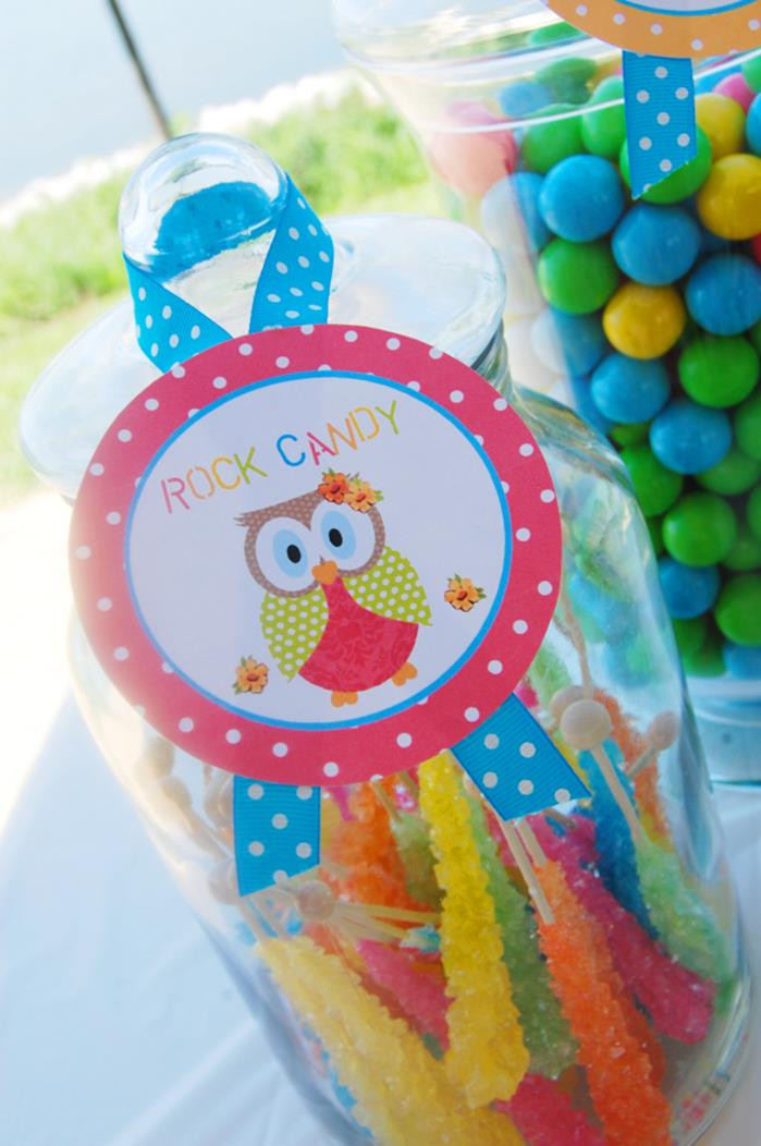 Owl First Birthday Decorations
 Kara s Party Ideas Aloha Owl 1st Birthday Party via Kara