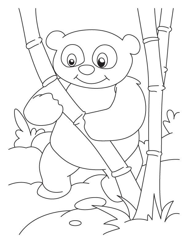 Panda Coloring Pages Printable
 Cute Panda Coloring Pages Coloring Home