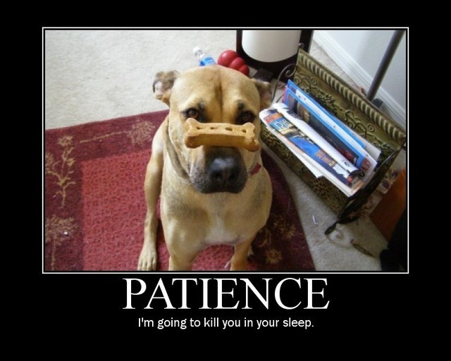 Patience Quotes Funny
 Patience…
