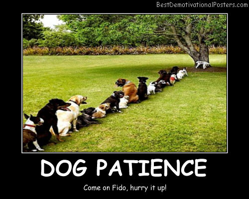 Patience Quotes Funny
 Patience Humor Quotes QuotesGram
