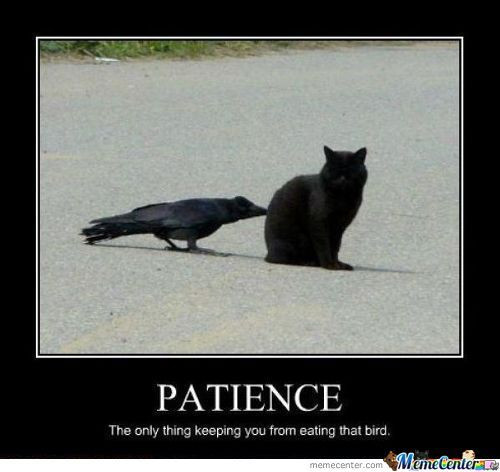 Patience Quotes Funny
 Patience Memes Best Collection of Funny Patience