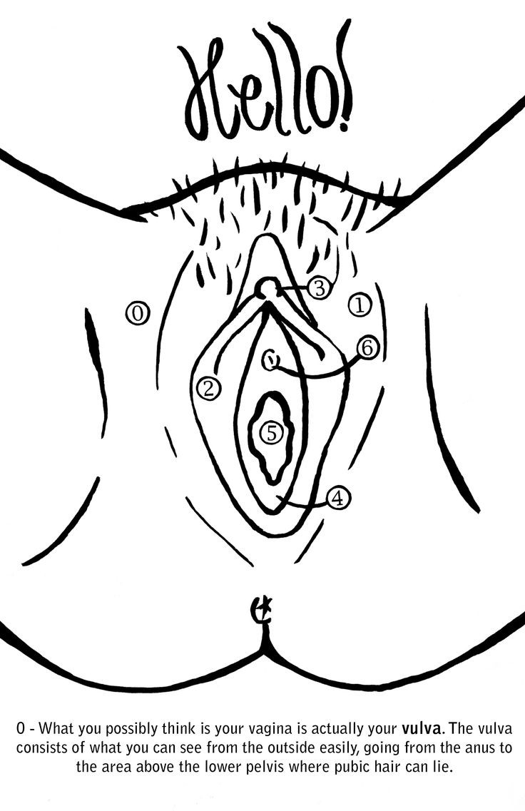 Penis Coloring Book
 Hello Vagina This coloring book was motivated by the