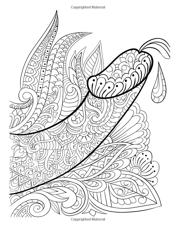 Penis Coloring Book
 Amazon Calming Cocks Adult Coloring Book Penis and